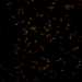HPA029481: U2OS, siRNA 2 (10x)