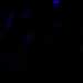 HPA035199: ASC52telo