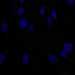 HPA000451: ASC52telo